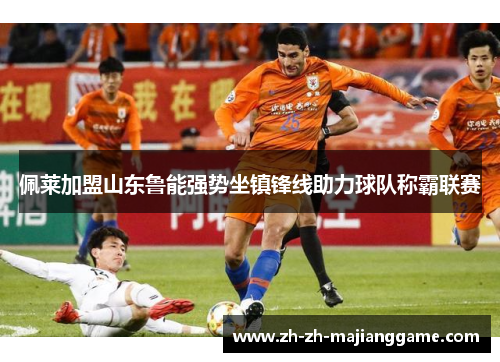 佩莱加盟山东鲁能强势坐镇锋线助力球队称霸联赛